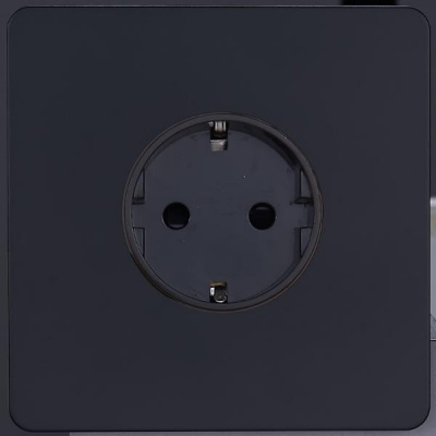 Розетка внутр. монтажа Leon (черная) 1пост