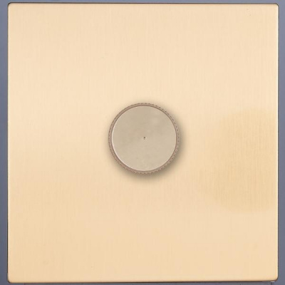 Диммер внутр. монтажа Asturias (золото)